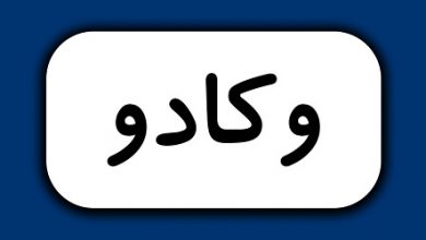 تحلیل وکادو