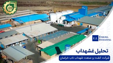 تحلیل غشهداب
