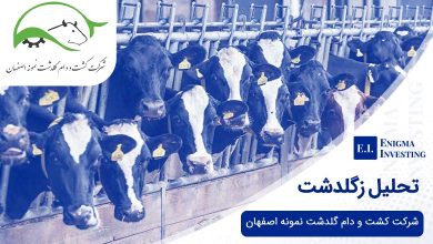 تحلیل زگلدشت