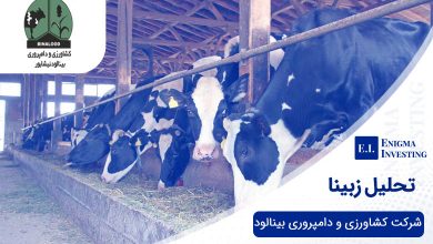 تحلیل زبینا