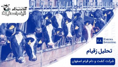 تحلیل زقیام