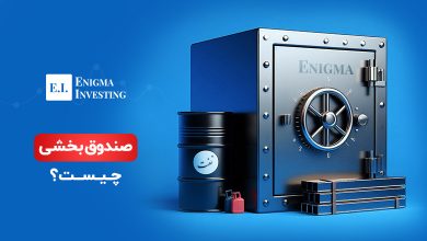 صندوق بخشی چیست؟ راهنمای سرمایه‌گذاری در صندوق بخشی