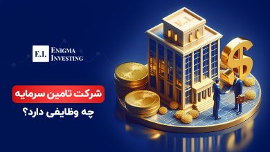 شرکت تامین سرمایه چیست و چه وظایفی دارد؟