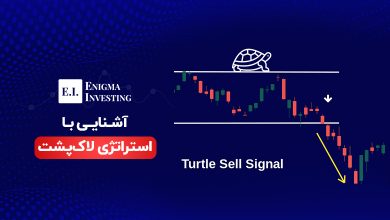 استراتژی لاکپشت