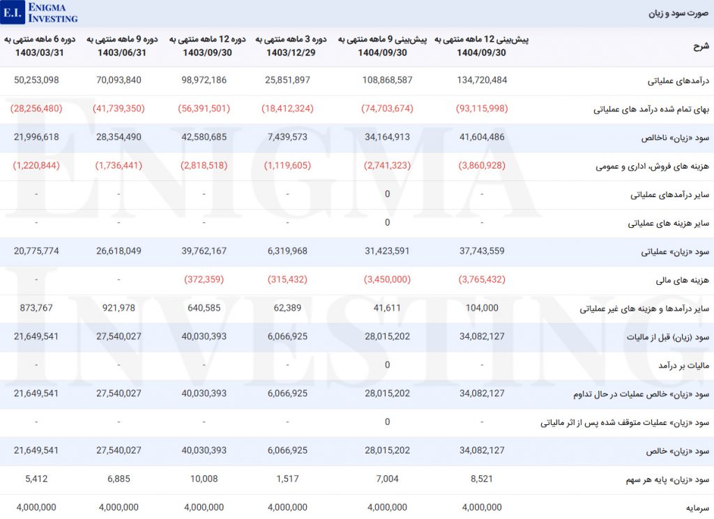 صورت سود و زیان فسبزوار
