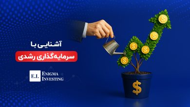 آشنایی با سرمایهگذاری رشدی و انواع آن