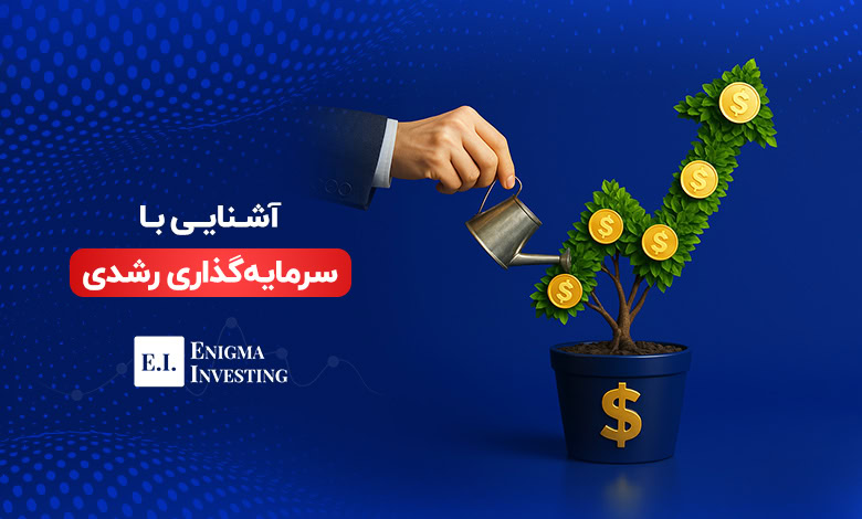 آشنایی با سرمایه‌گذاری رشدی و انواع آن
