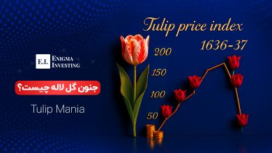 جنون گل لاله