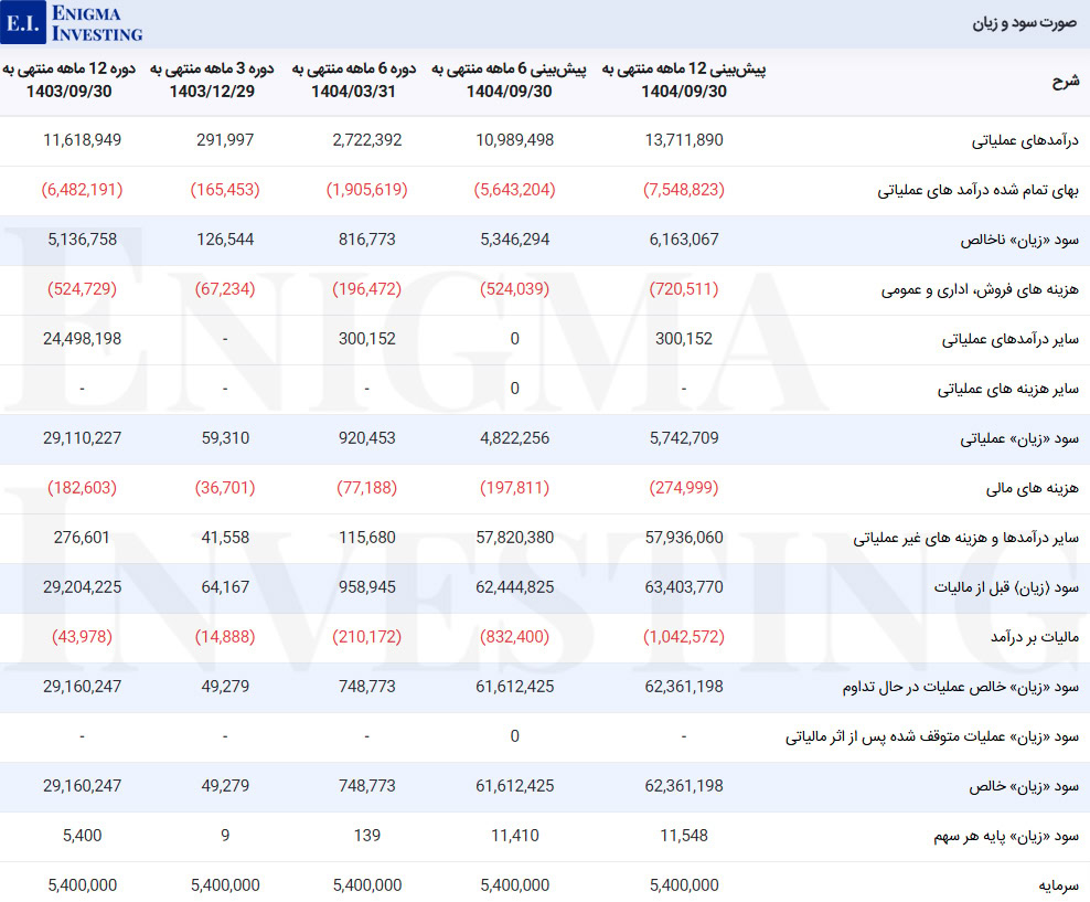 صورت سود و زیان فزر