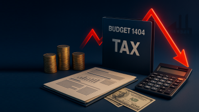 بررسی فشار مالیاتی بودجه ۱۴۰۴ بر تولید و راهکارهای کاهش اثر آن بر بنگاهها