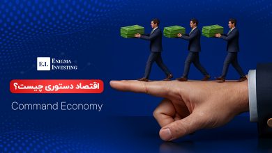 اقتصاد دستوری