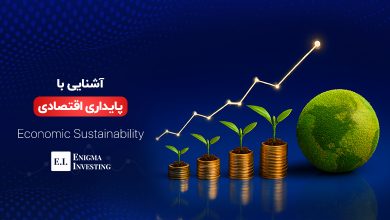 پایداری اقتصادی