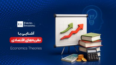 نظریه اقتصادی