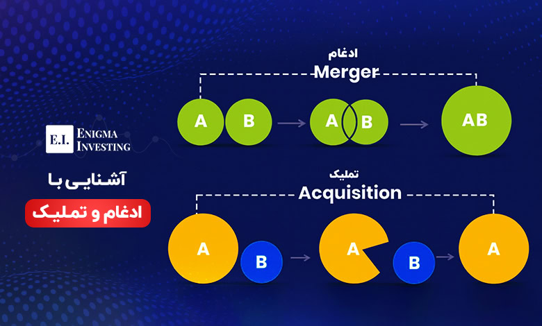 ادغام و تملیک