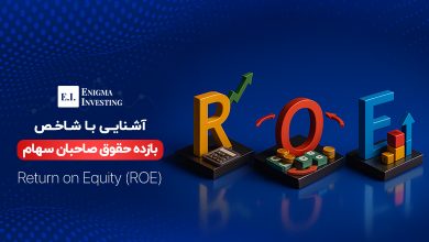 شاخص ROE