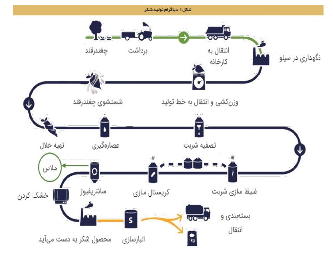 چرخه تولید در شرکت قند نیشابور